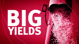 LGSeeds Big Results
