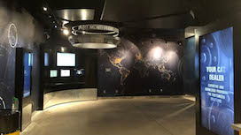 Cat Display Unveiled