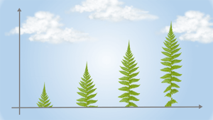 Winning Sustainability Report