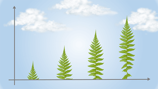 Winning Sustainability Report