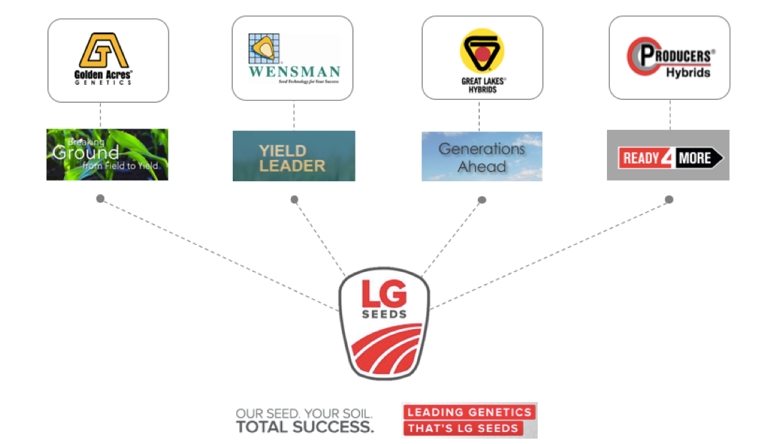 LG Seeds Merger