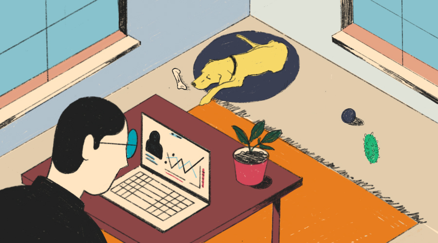 Remote Work Environment