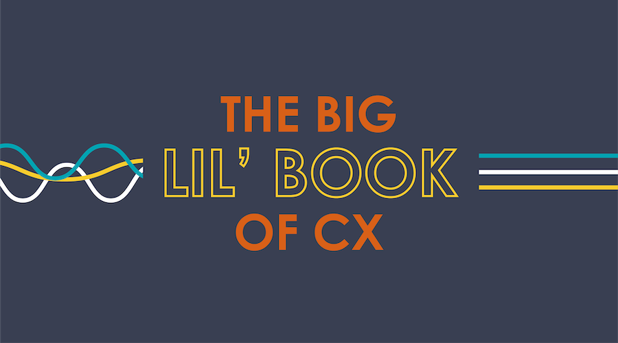 eBook | The Big Lil' Book of CX