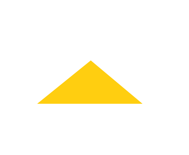 CatFinancial_WhiteYellow_RGB